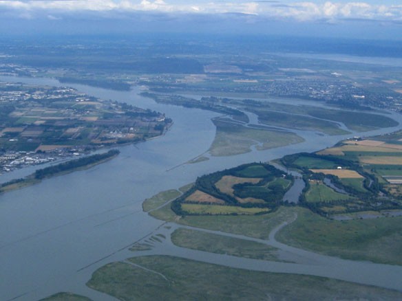 fraser-river-delta