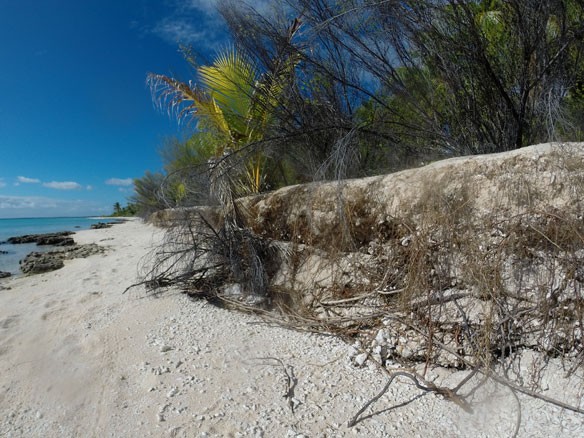 shoreline-erosion-cc