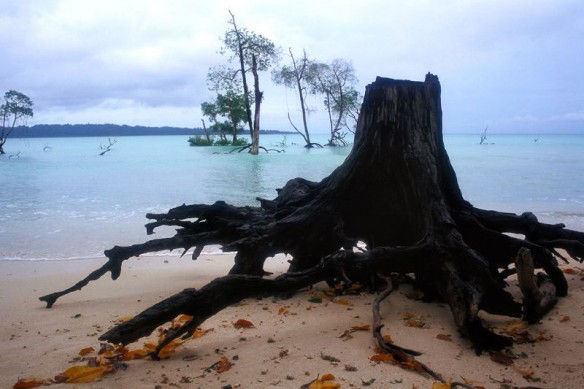 andaman-erosion