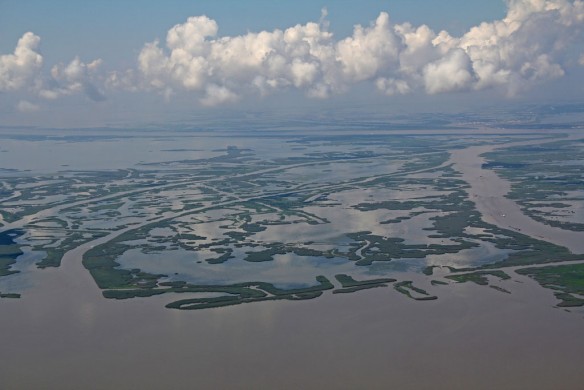 mississippi-river-mouth