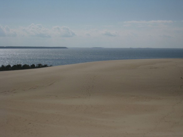 jockey's-ridge