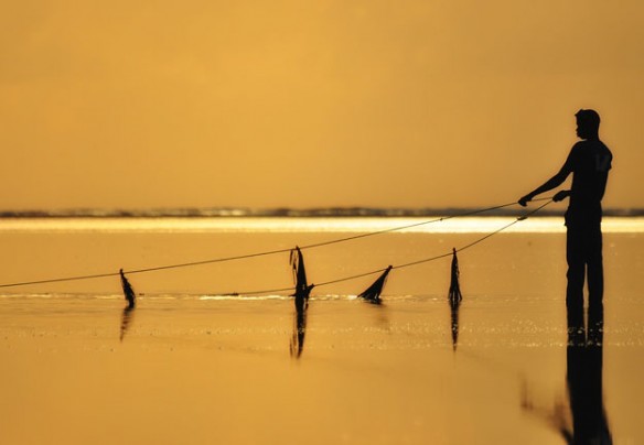 tanzania-gold-fisher