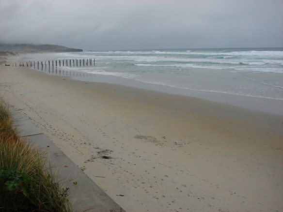 st-clair-beach-nz-1