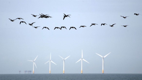 windfarm