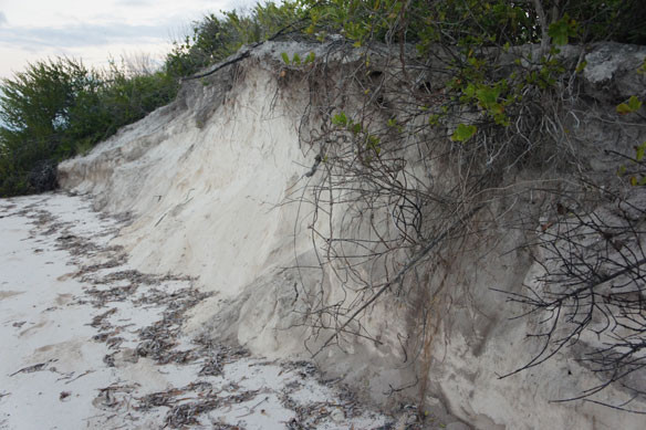 coastal-erosion-cc