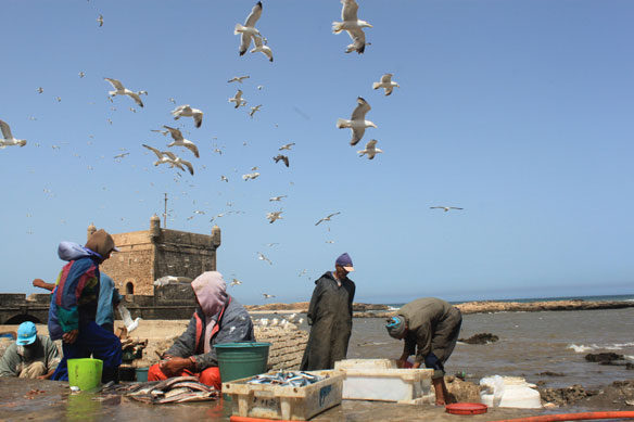 fishermen-morocco