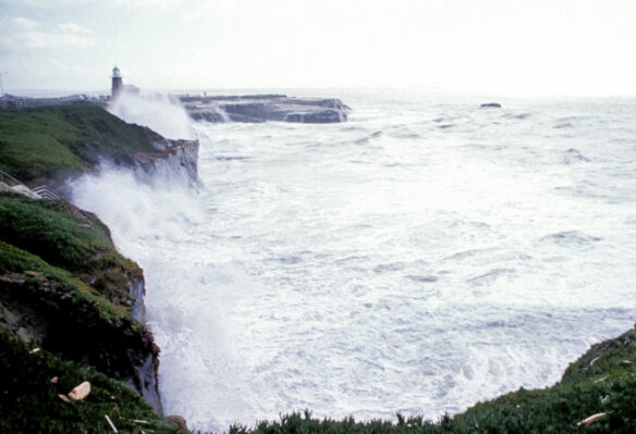 The same beach in the photo above but during the winter (Photograph © Gary Griggs)