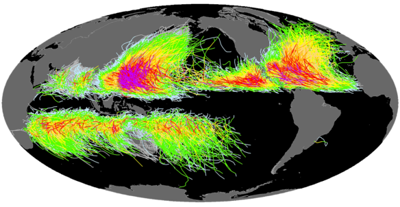 Tropical cyclone and hurricane paths over the past 150 years. Greens and blues are tropical depressions or storms, and yellows, oranges, reds and magenta are increasing intensities of hurricanes or cyclones (Illustration courtesy NOAA).